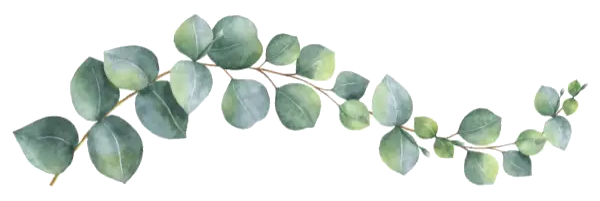 Single eucalyptus branch for The Hostful